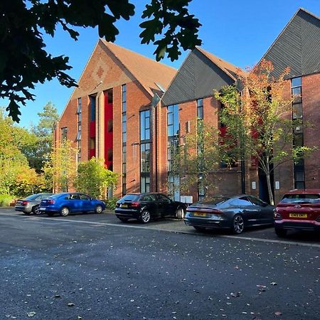 Modern Luxurious Apartment W/ Patio Balcony & View Jordanstown Extérieur photo
