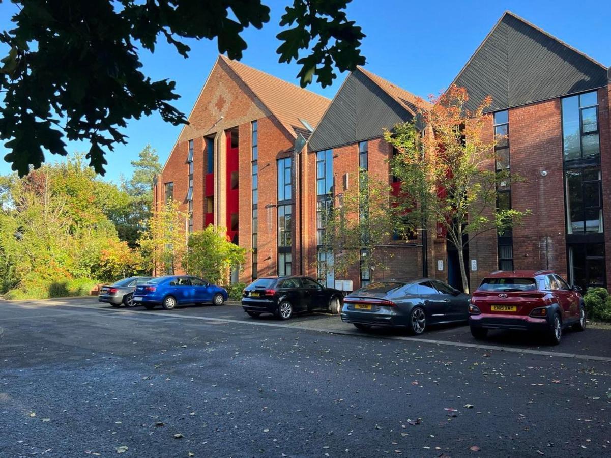 Modern Luxurious Apartment W/ Patio Balcony & View Jordanstown Extérieur photo